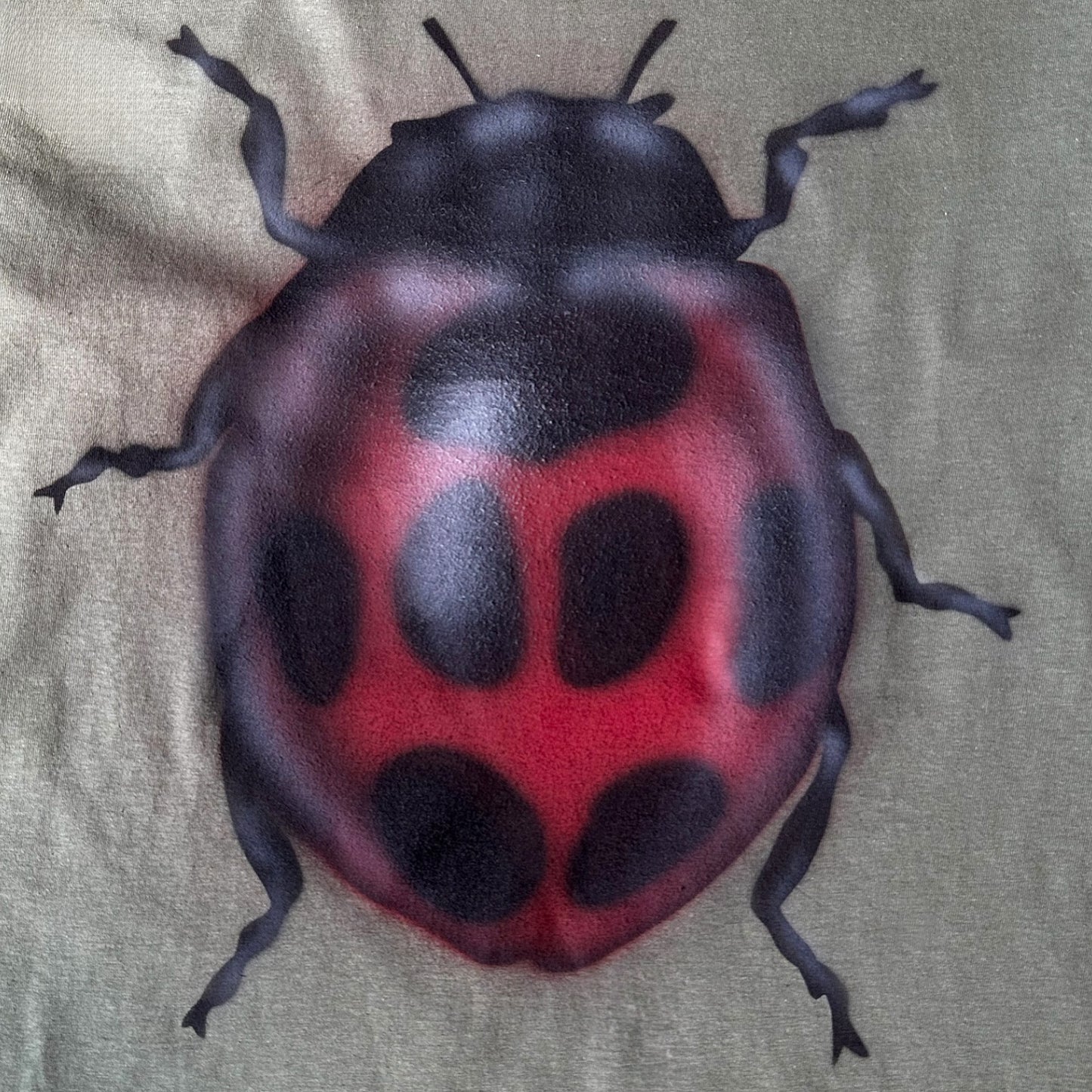 ladybird tee - long sleeve